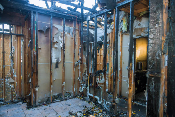 Professional Soot Cleanup technician working in South Fulton, TN